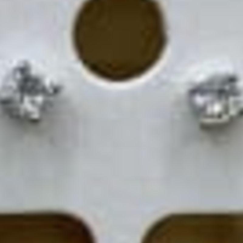 BRINCO RODIO SEGUNDO FURO PP ZIRCONIA